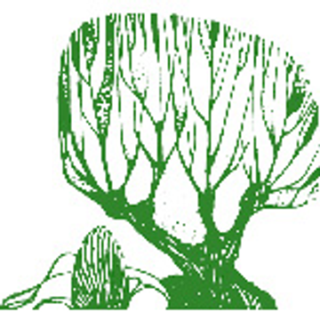 Karl Hannig Gartengestaltung GmbH