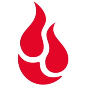 company-logo