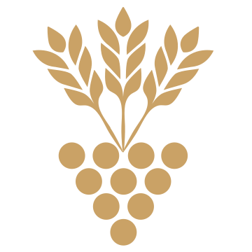 BWV RHEMO Steuerberatung