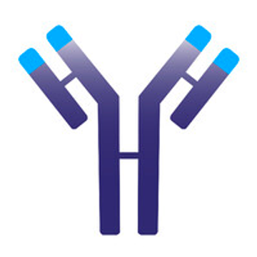 Immunovant, Inc.