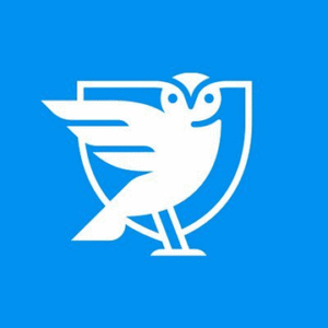 company-logo