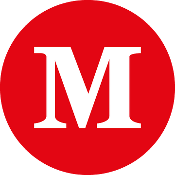 Metallbaumeier Hig
