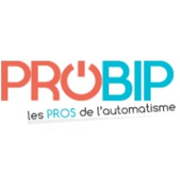 proBIP, Berufs-Integrations-Programme