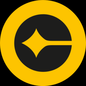 company-logo
