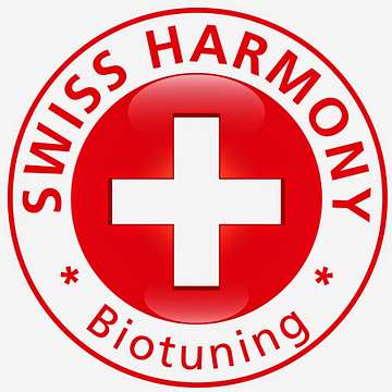 Swiss Harmony Bern GmbH