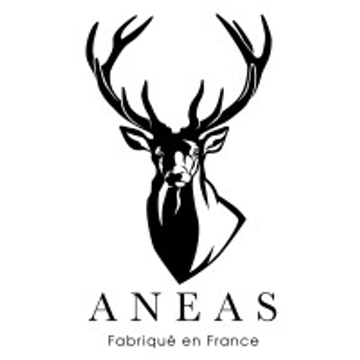 aneas design GmbH
