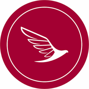 company-logo