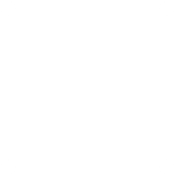 Altehoefer – Internationale Steuerberatung