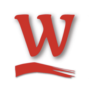 company-logo