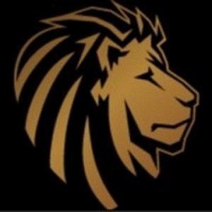 company-logo
