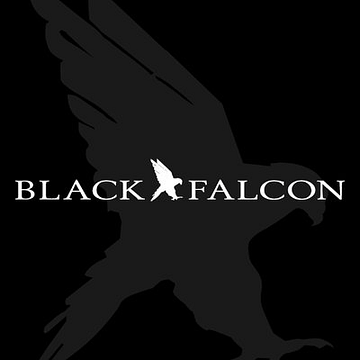 Black Falcon GmbH & Co. KG