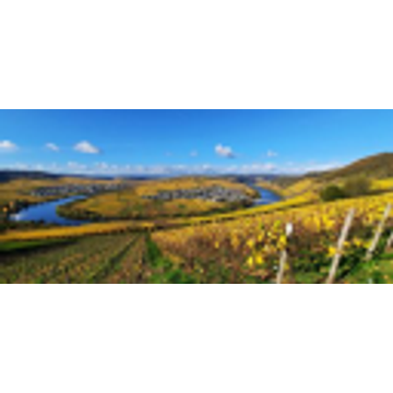 Weingut Schneider GbR Markus Schneider und Nicole Schneider