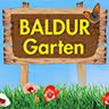 Baldur Berg