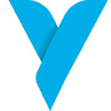 vysion consulting