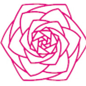 Blumen Stierle-Wagner