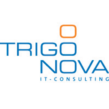 Trigonova IT Consulting