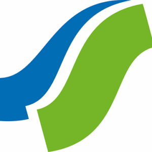 company-logo