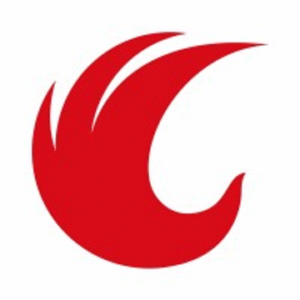company-logo