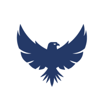Acuity International