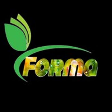 FORMA Bauservice GmbH