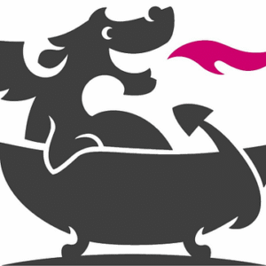 company-logo