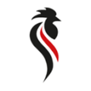 company-logo