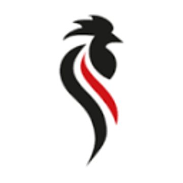 HAHN Automation Group Holding GmbH
