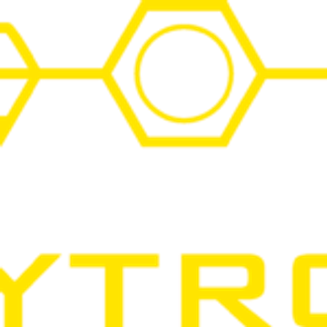 Polytronic International AG