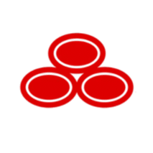 company-logo