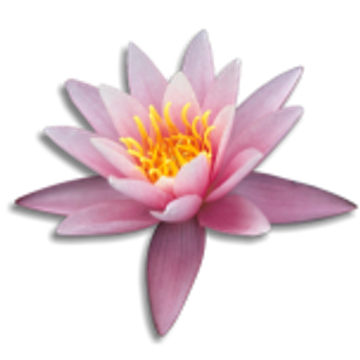 Seerose Energie GmbH