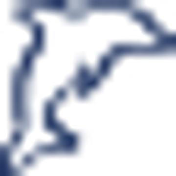 Blue Dolphin Klebetechnik