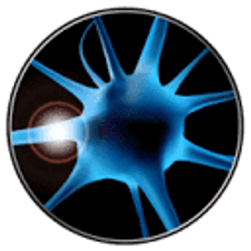 Neuroloop