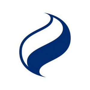 company-logo