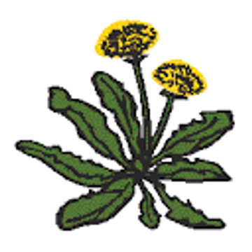 Gut Sambach