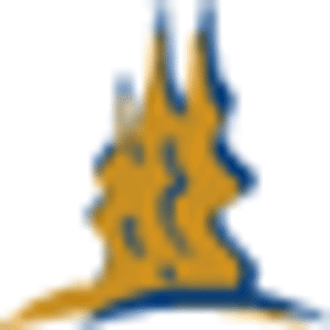 company-logo