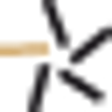 THS Business Solutions GmbH