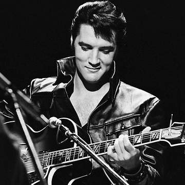 Elvis Bogicevic e.K