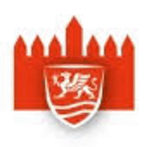 company-logo