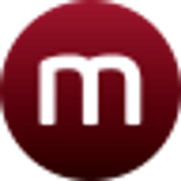 maiergroup behringer versicherungsmakler