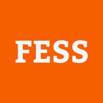 FESS recruitment Göppingen & Co. KG