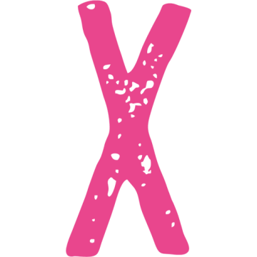 Xclusive Carstyling e. K.