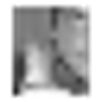 Bildungswert gUG UG