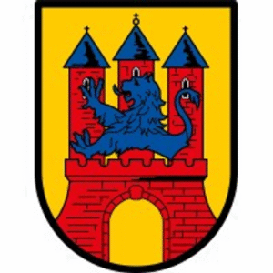 company-logo