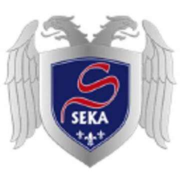 Seka Nutzfahrzeuge GmbH & Co. KG