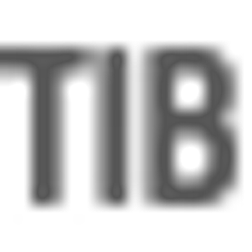 IWF Ritzhaupt GmbH