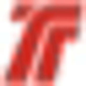 Trebbiner Stahlgesellschaft mbH
