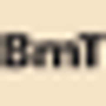 BMT Bürsten- u. Maschinentechn. GmbH