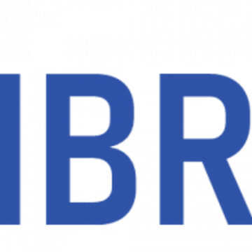 IBR Ing. Büro Rissler GmbH