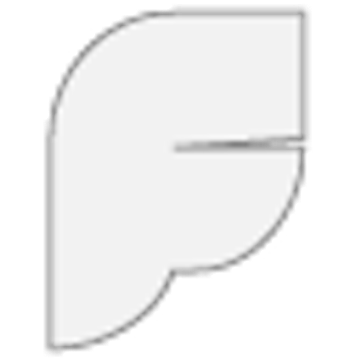FPM Holding