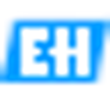 Endress + Hauser